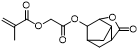 2-Oxo-2-[(5-oxo-4-oxatricyclo[4.2.1.0³,⁷]nonan-2-yl)oxy]ethyl methacrylate / 2-carboxy-4-norbornylidene-5-acetoxymethacrylate